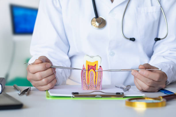 Best Emergency Tooth Extraction in Harrisville, WV